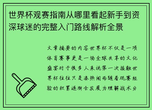 世界杯观赛指南从哪里看起新手到资深球迷的完整入门路线解析全景